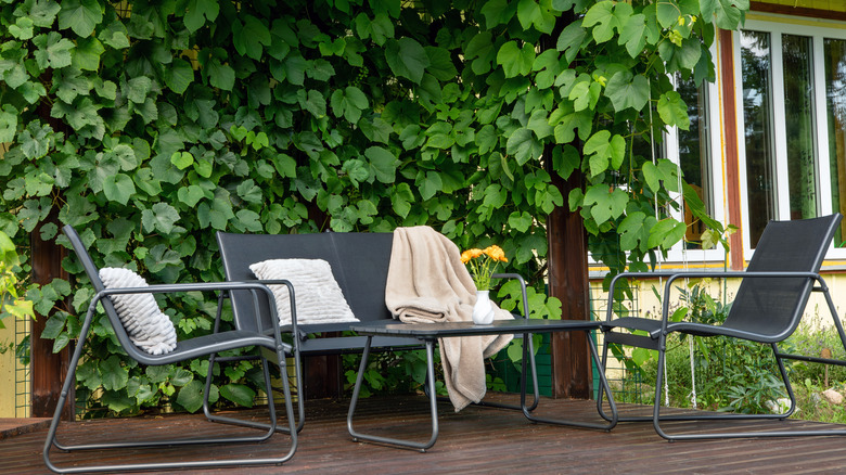 A lightweight metal patio furniture set surrounded by greenery