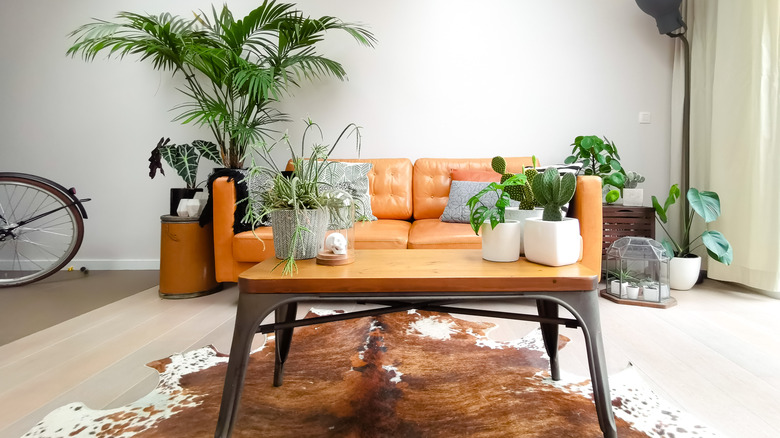 cowhide rug in living room