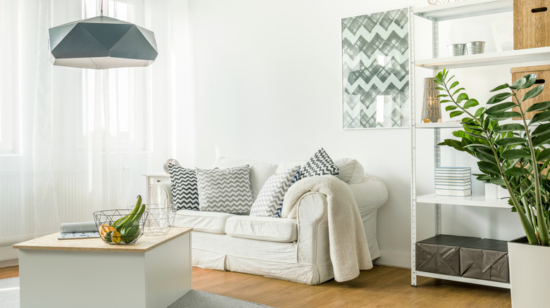 Small white living room with white sofa and wood floors