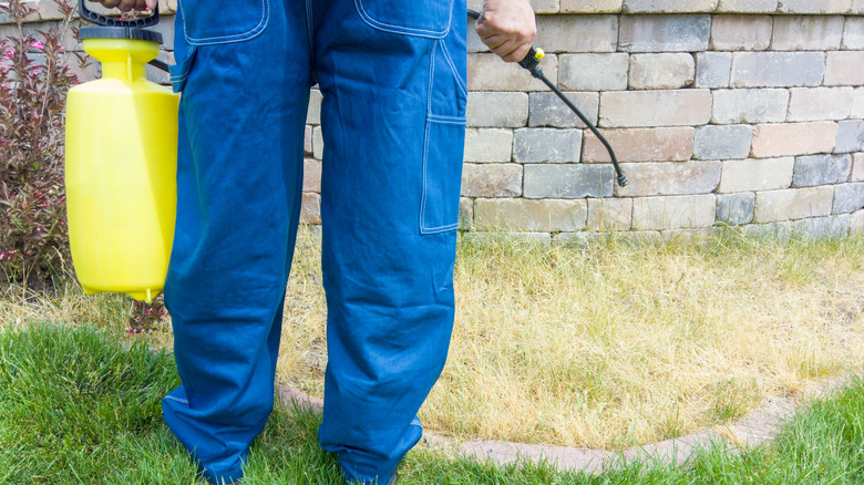 man using hand-held sprayer