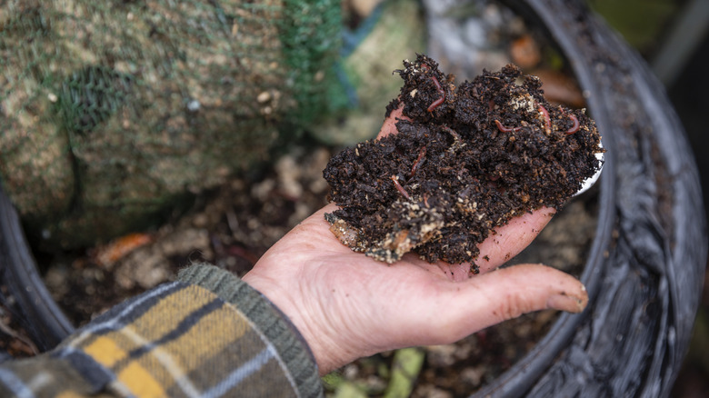 Close-up of a hand holding garden compost