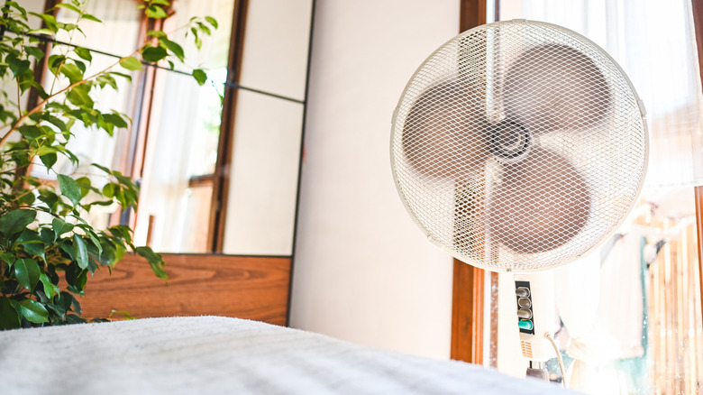 fan in front of a bed with plant in corner and wood and mirrored cabinet