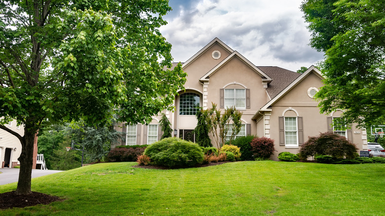 Luxury home with deciduous and coniferous trees.