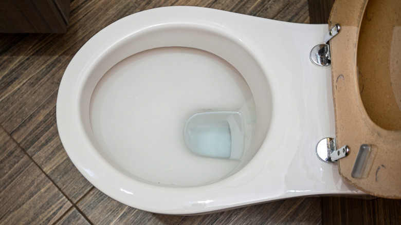 Closeup of round toilet