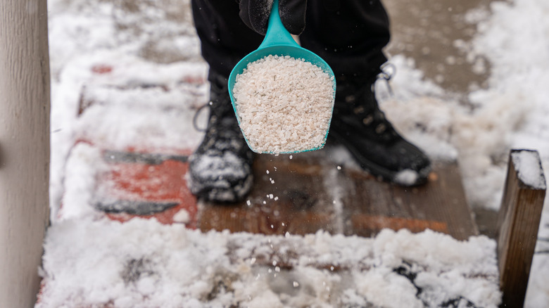 person pouring salt on snow
