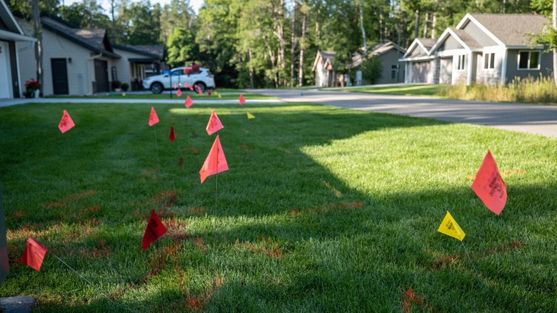 Different color flags on front lawn