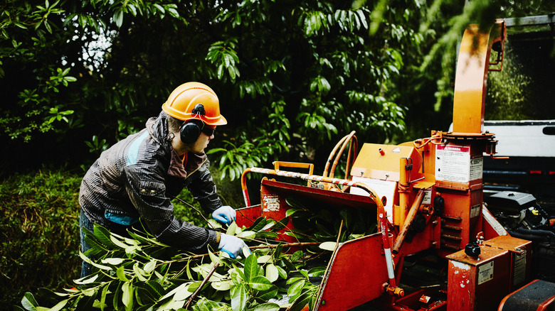 wood chipper with tree branches