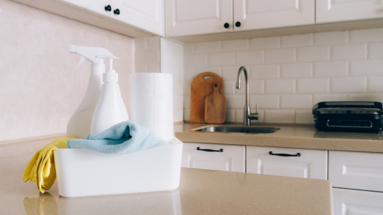 Cleaning supplies sitting on kitchen counter