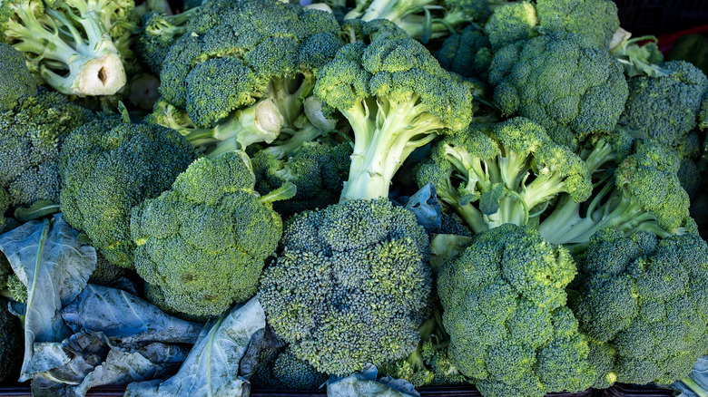 Broccoli plants