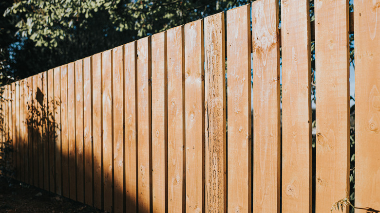 A wooden backyard fence