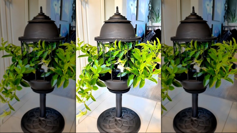 DIY gothic plant stand with green foliage