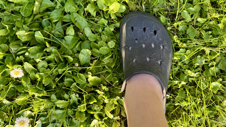 A person wearing a black Croc outside in the weeds and grass