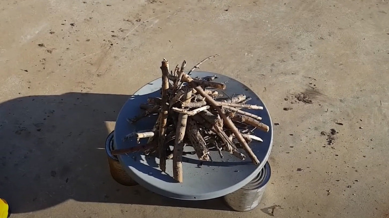satellite dish with sticks