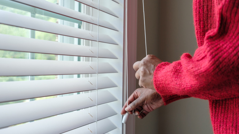 A person in a red sweater pulls the cord on window blinds.