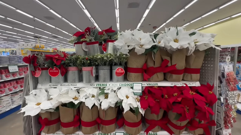 View of the Dollar Tree endcap with faux poinsettias