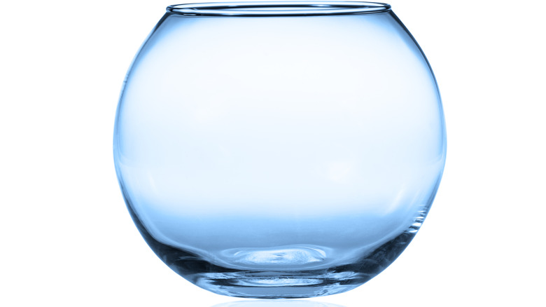 Empty glass fishbowl against a white background
