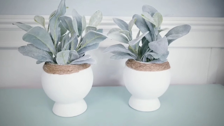 White fishbowl vases with lamb's ear plant sit on a green countertop