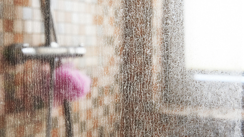 Soap scum stains a glass shower door.