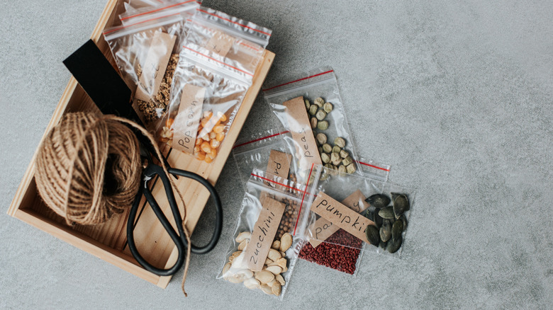 A small wooden box holds some twine and plastic seed packets with labeled seeds.