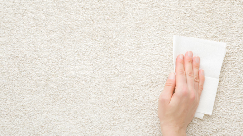 Person wiping carpet with white cloth