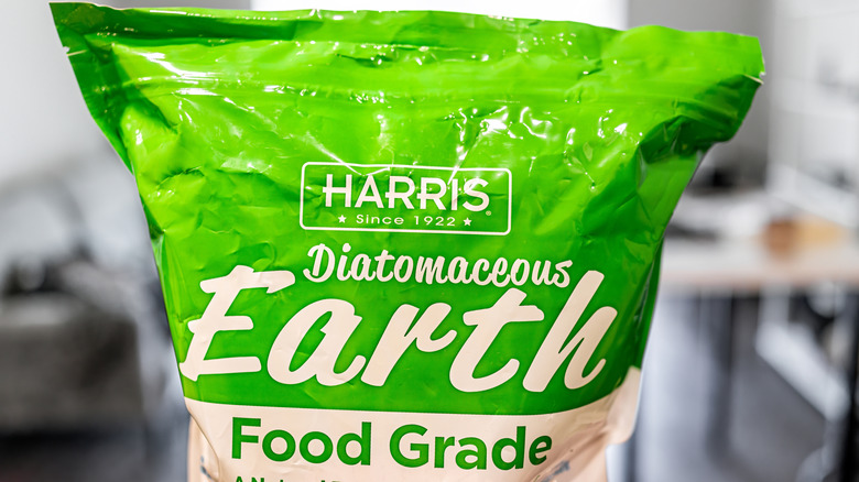 A bag of diatomaceous earth