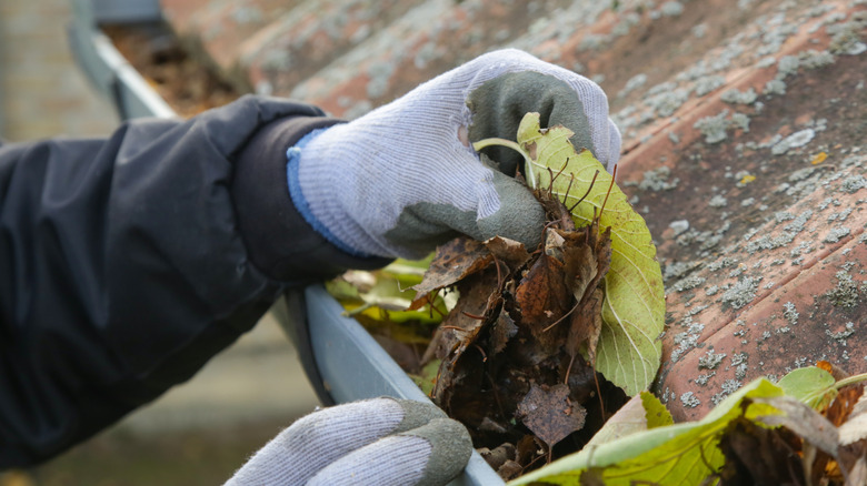 Cleaning leaves in gutters before winter