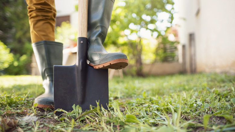 person digging lawn