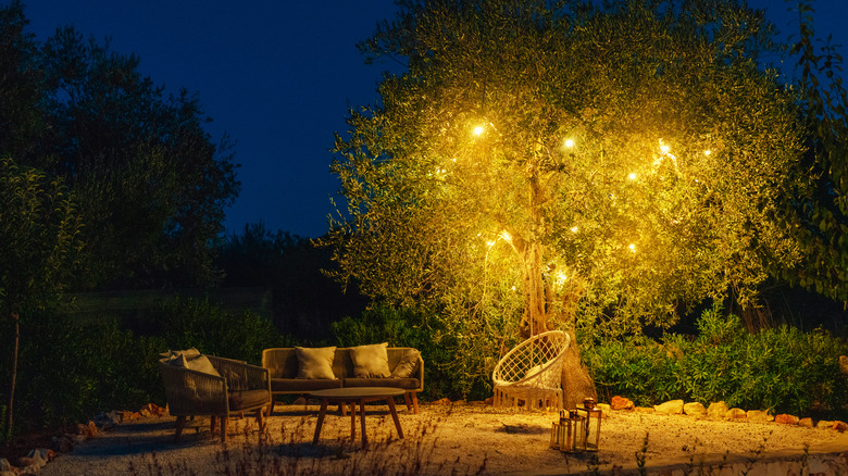 Garden tree decorated with lights with chairs and sofas