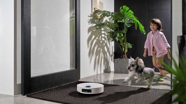 Child and dog running and robot vacuum cleaning over a carpet