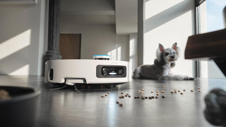 robot vacuum cleaning in front of pet kibble with dog in background