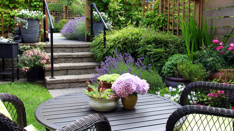 A patio table in a small backyard with various plants and flowers