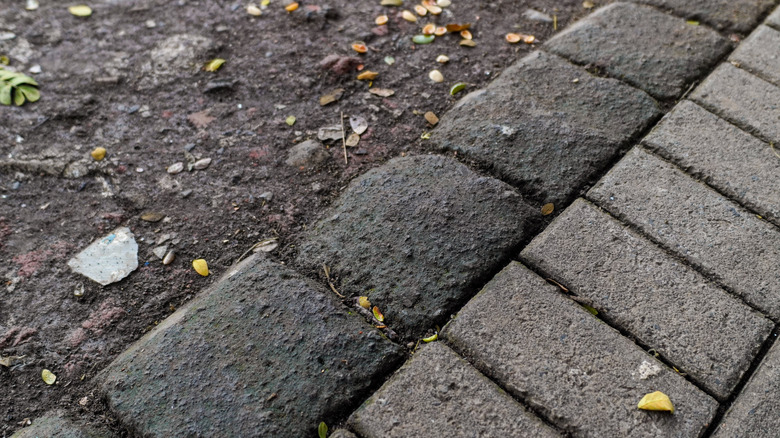 A close up of block paving edging on the edge of a driveway.