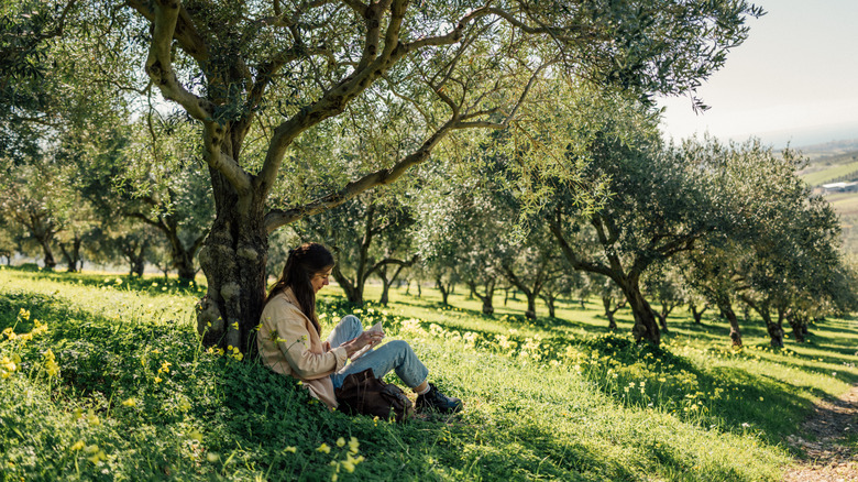 Woman sitting under an olive tree