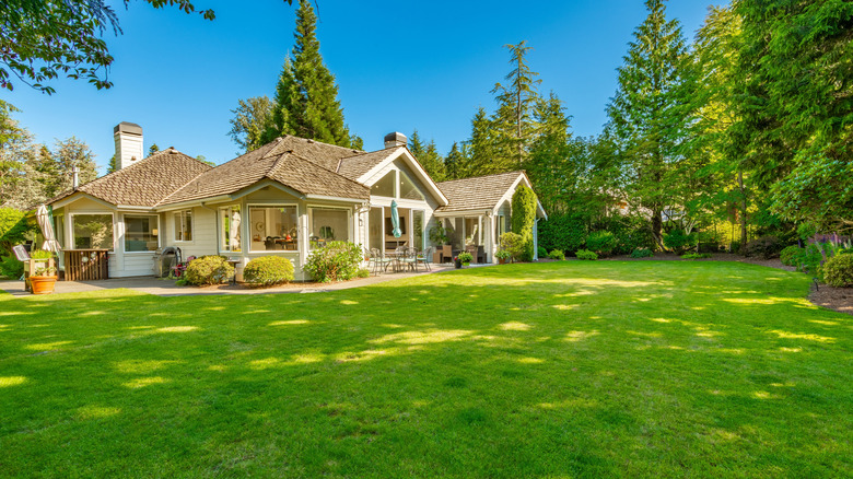 A lush green lawn with a house in the background