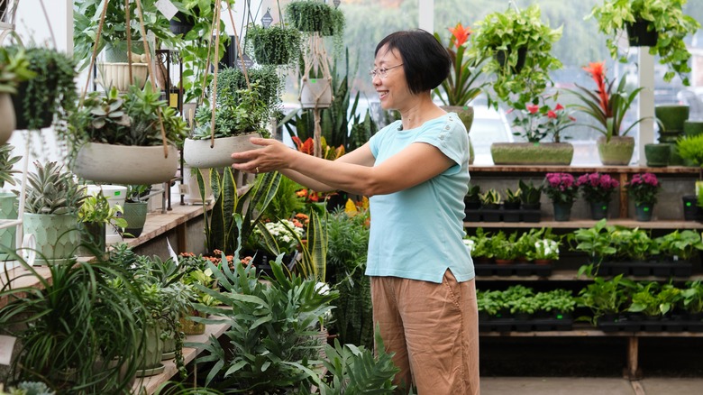 Woman browsing succulents in store