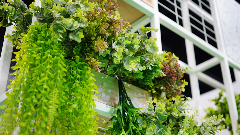 fake plants displayed on shelf at home