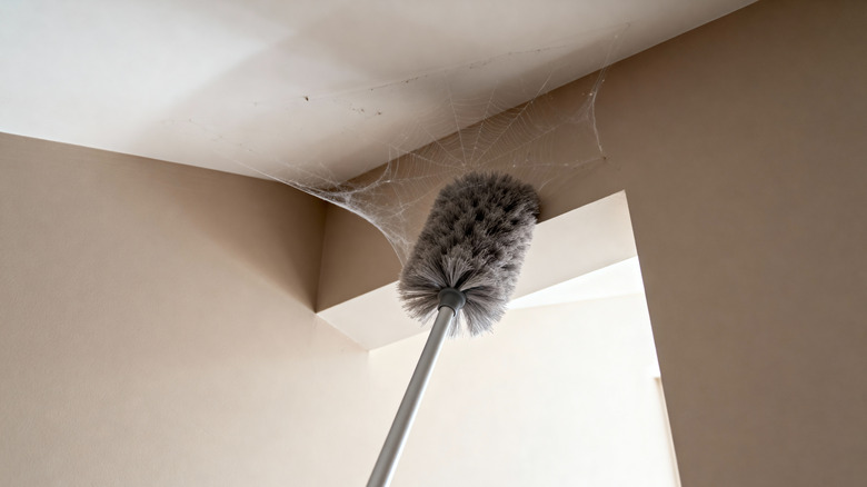 Cleaning a cobweb from the ceiling with an extendable duster
