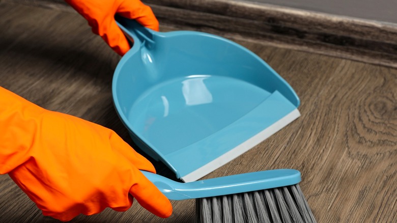 person holding a plastic dustpan