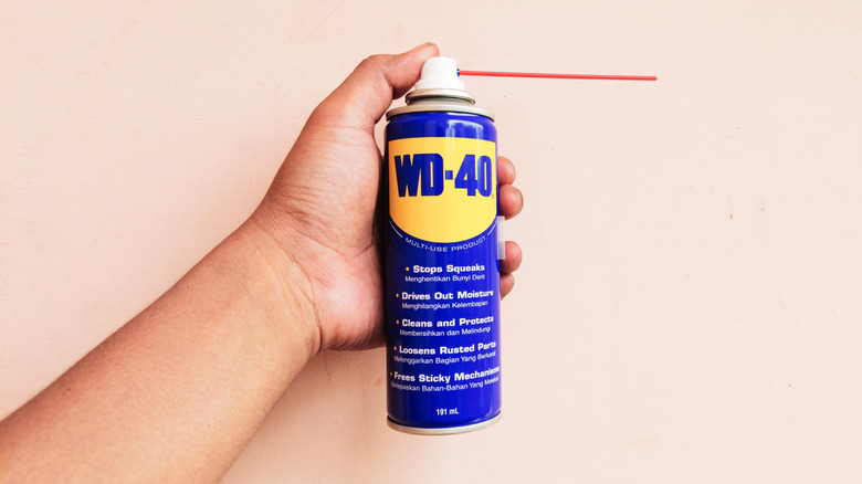 hand holding a can of WD-40
