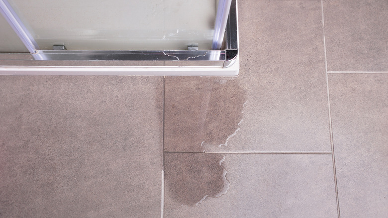 glass shower door with water leaking onto tile floor