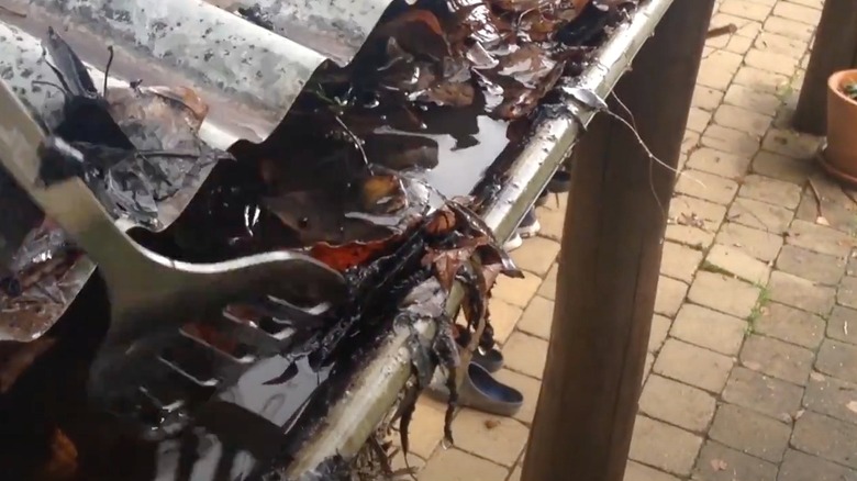 Spatula scooping out leaves from gutters
