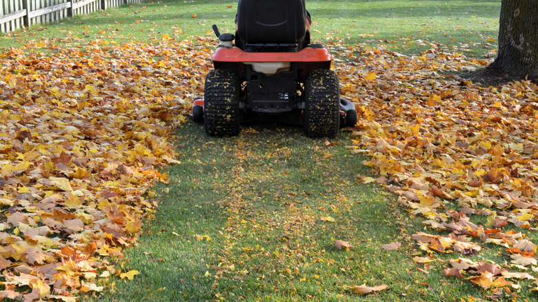 Riding lawn mower going over ground with leaves