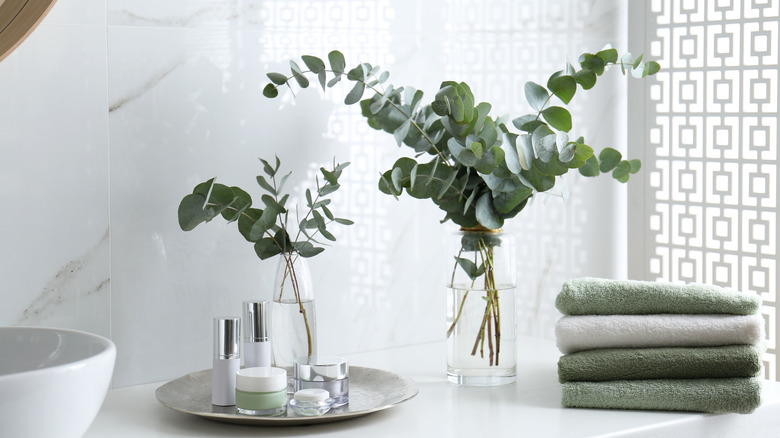 Eucalyptus branches sitting on counter 