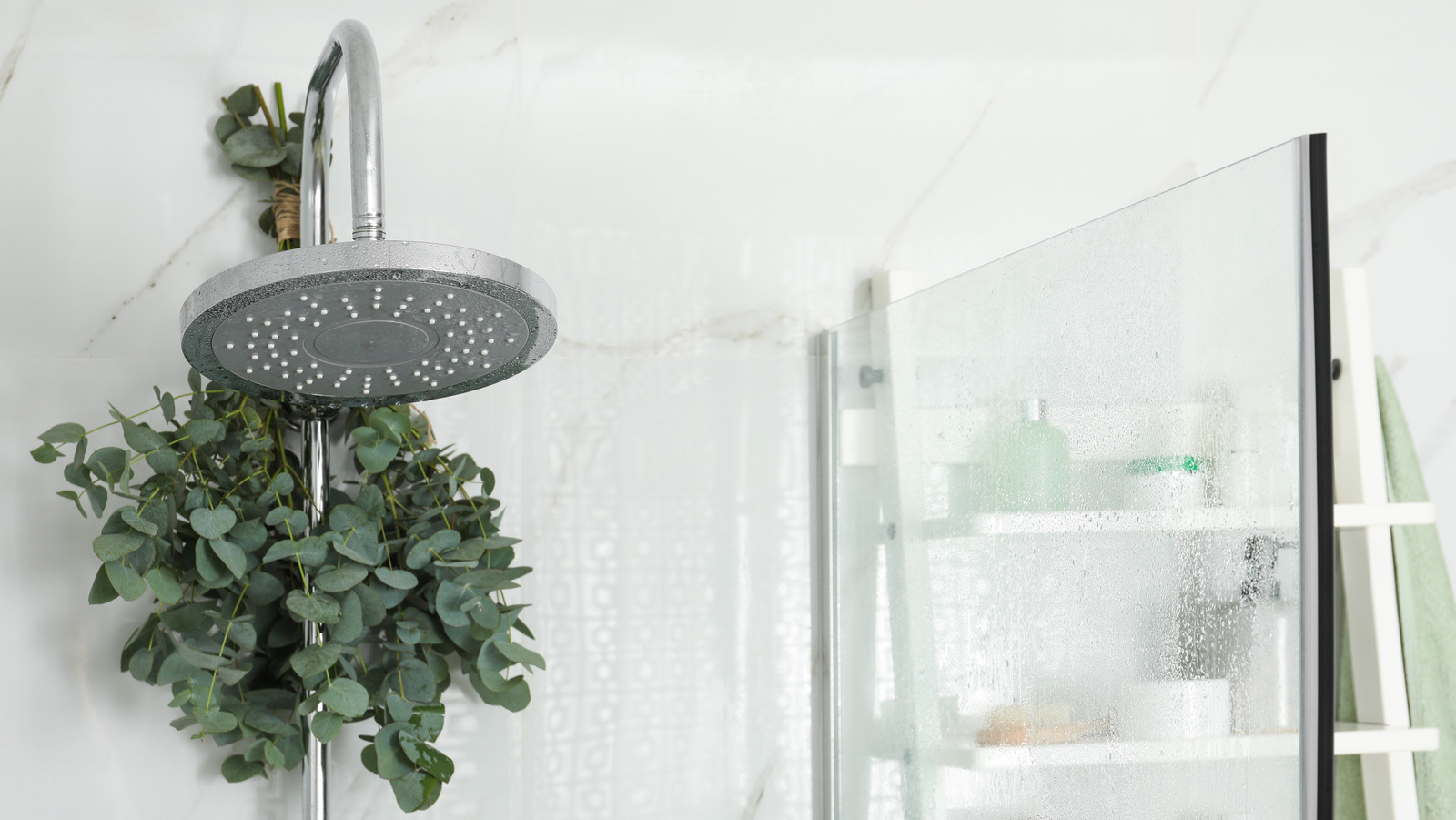 The Easiest Way To Add Eucalyptus Into Your Bathroom