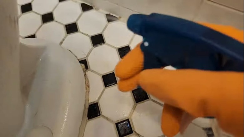 Someone spraying disinfectant behind the toilet