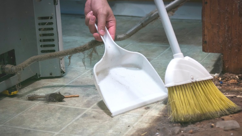 person cleaning area under a range