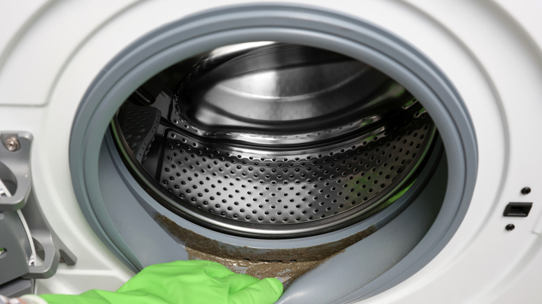 person exposing dirty rubber seal of a front-loading washer