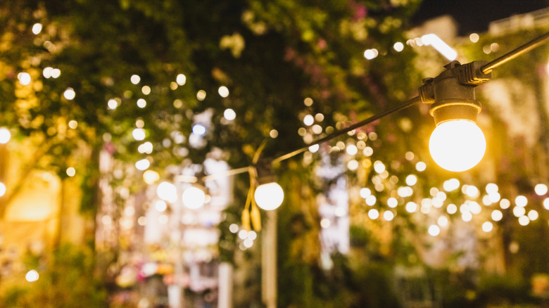 String lights in a garden
