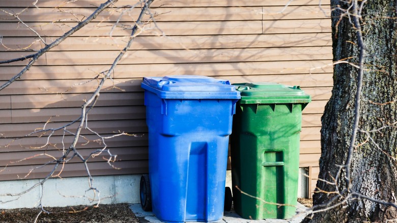 Two garbage cans in front of house
