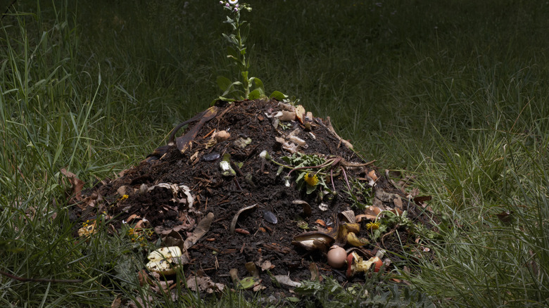 compost on ground